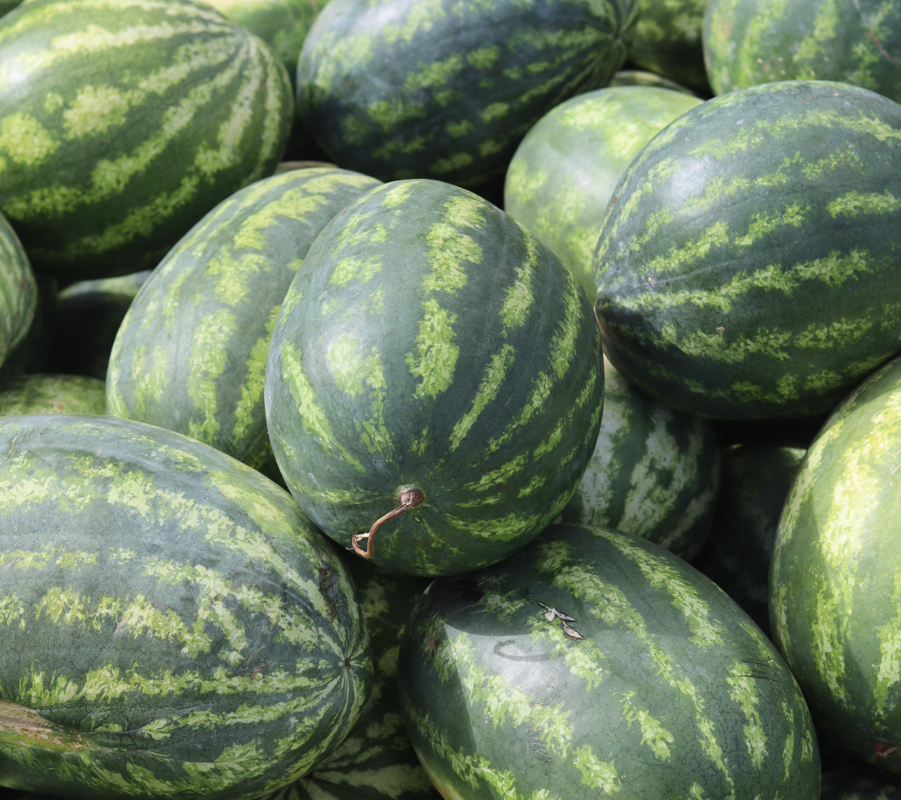 Stack of watermelons