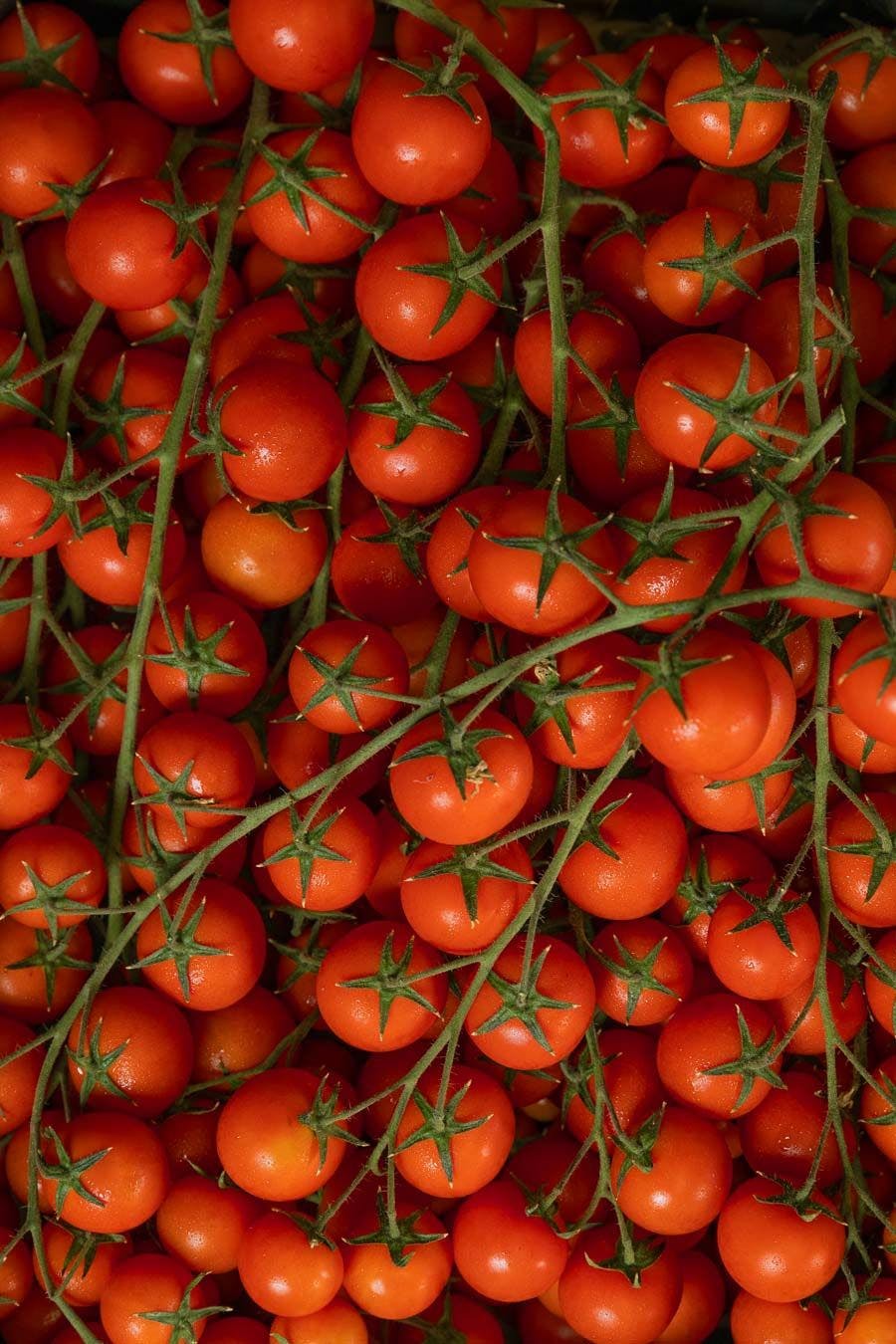 Bunch of cherry tomatoes o