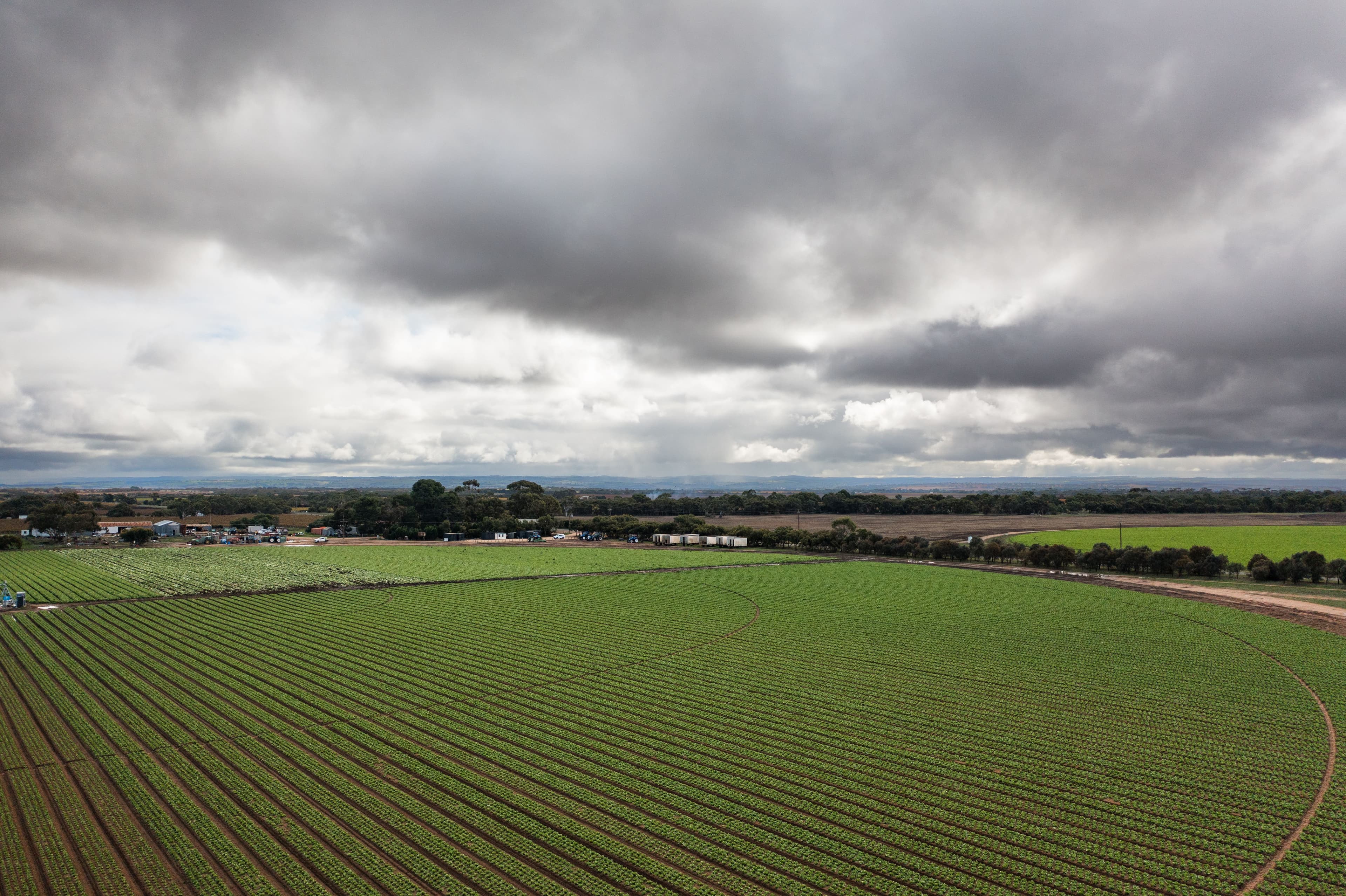 nationwide network of fresh fruit and veg growers 