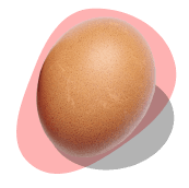 Egg graphic