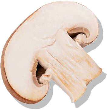 Mushroom slice