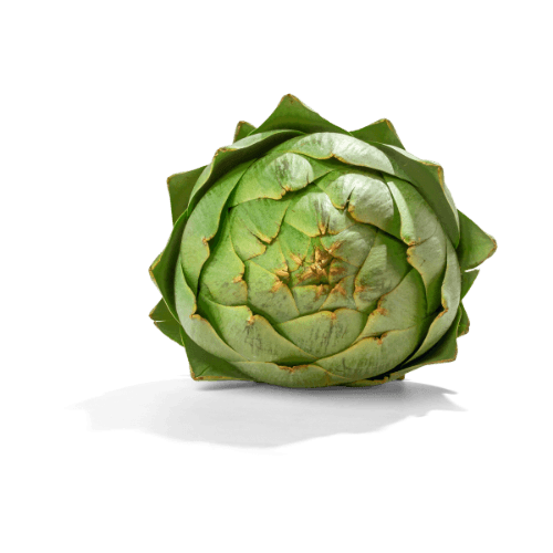 Artichokes