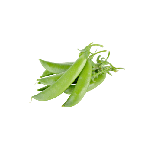 Sugar Snap Pea