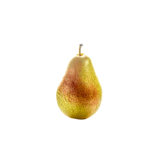 Corella Pear