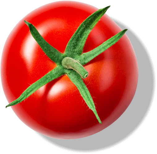 Tomato