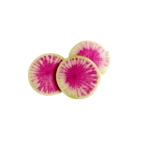 Watermelon Radish