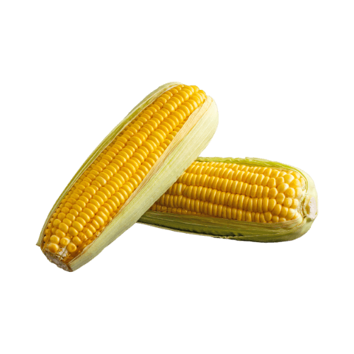 Corn