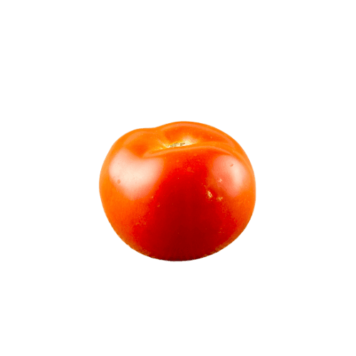 Gourmet Tomato