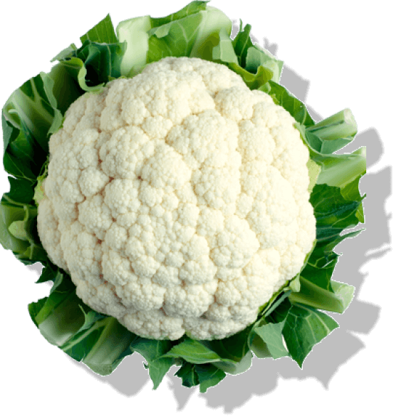 Cauliflower head